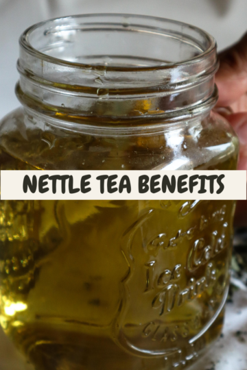 nettle tea benefits