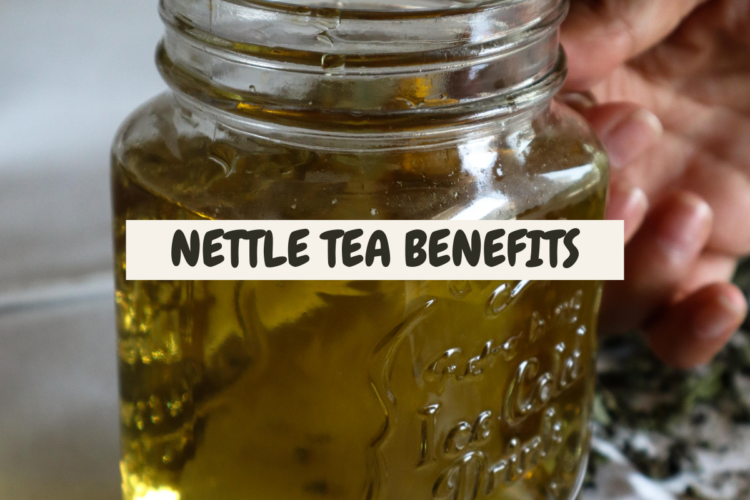 nettle tea benefits