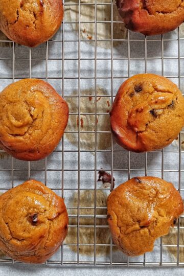 soft pumpkin chocolate chip cookies