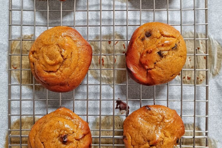 soft pumpkin chocolate chip cookies