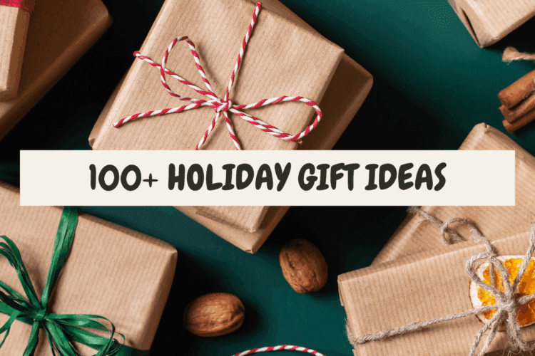 100+ holiday gift ideas