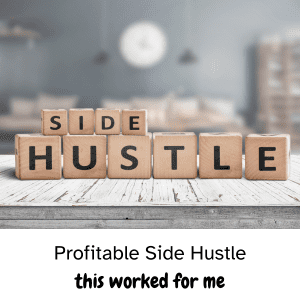profitable side hustle