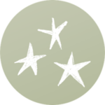 Vibrant, Engaging Illustrations