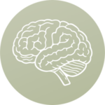 Developmentally Rooted