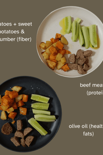Blood Sugar Balance for Kids